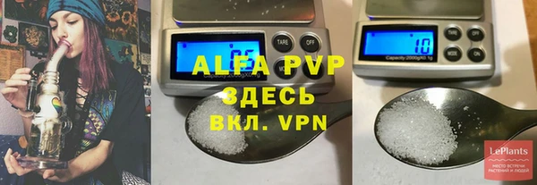 амф Вяземский
