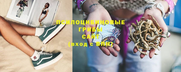 амф Вяземский